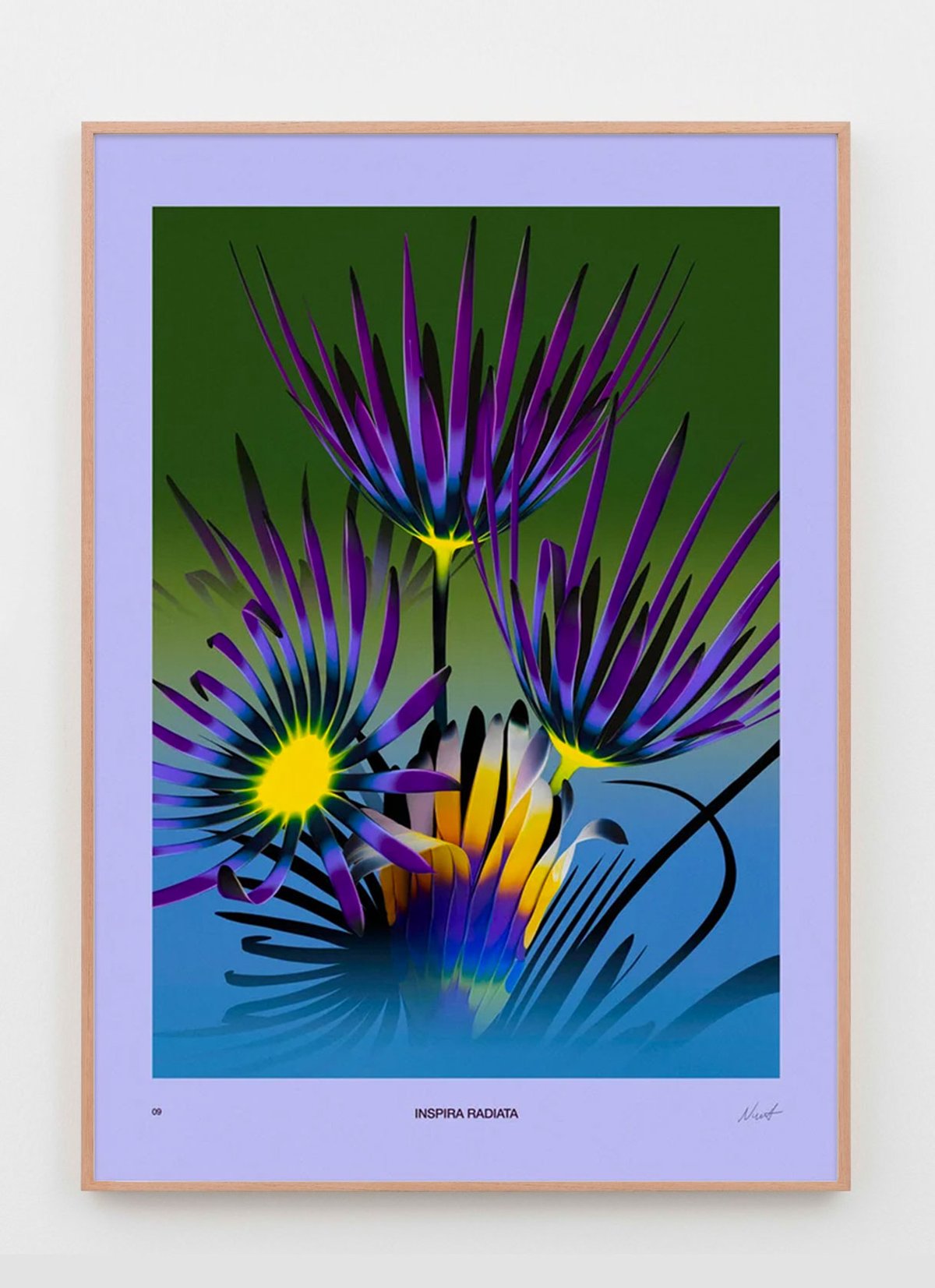 Image of Weird Flowers - Inspira Radiata