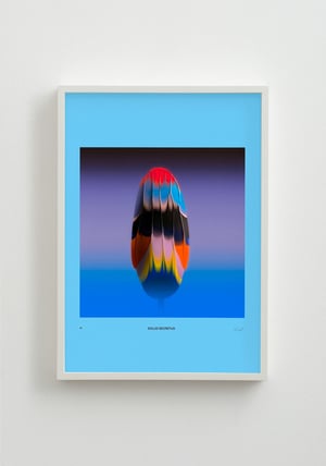 Image of Weird Flowers - Solus Secretus