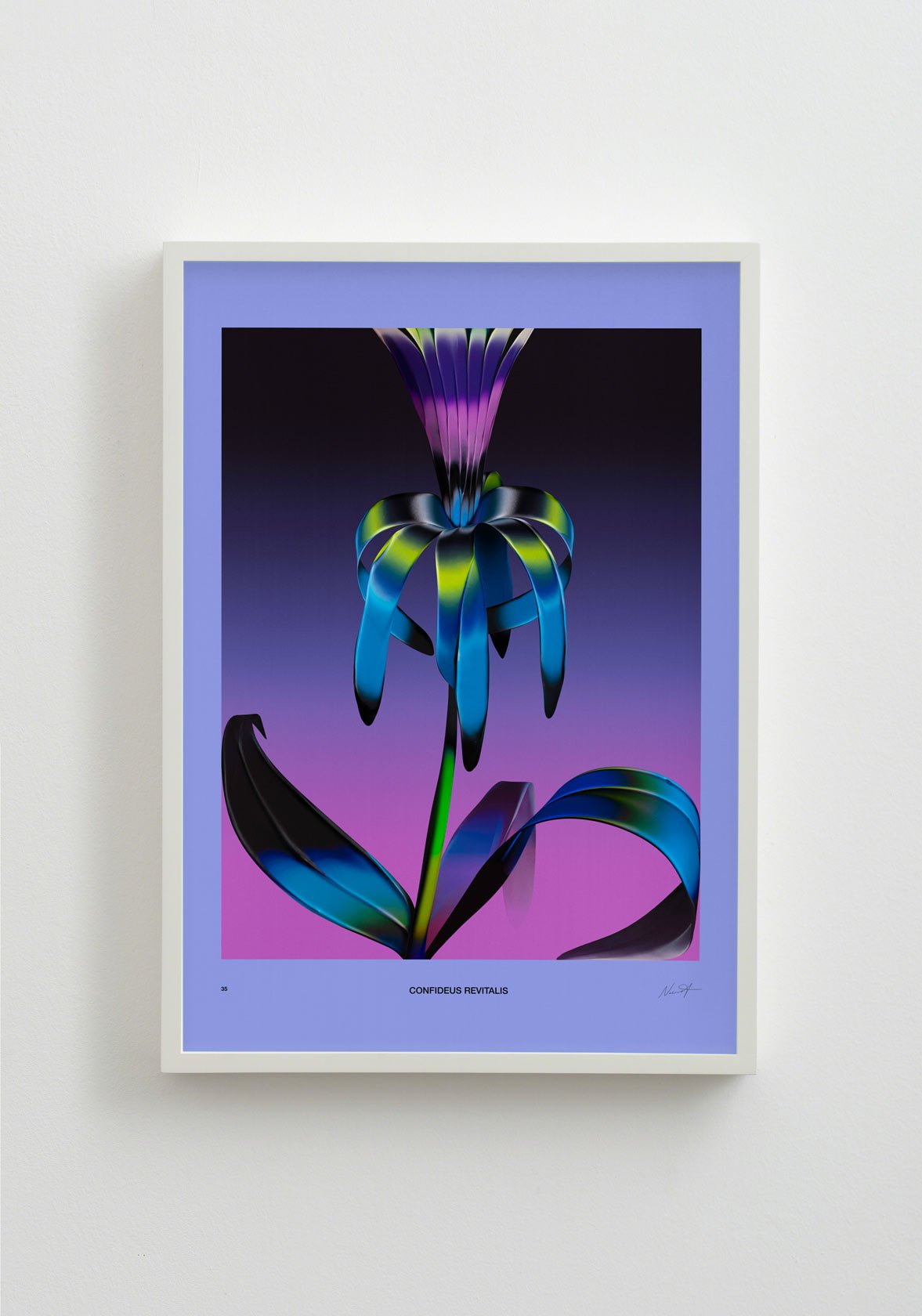 Image of Weird Flowers - Confideus Revitalis