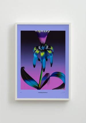 Image of Weird Flowers - Confideus Revitalis