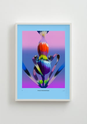 Image of Weird Flowers - Physalis Pseudonarcissus