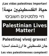 Palestinian Lives Matter in 7 languages