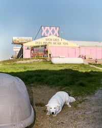 XXX Dog