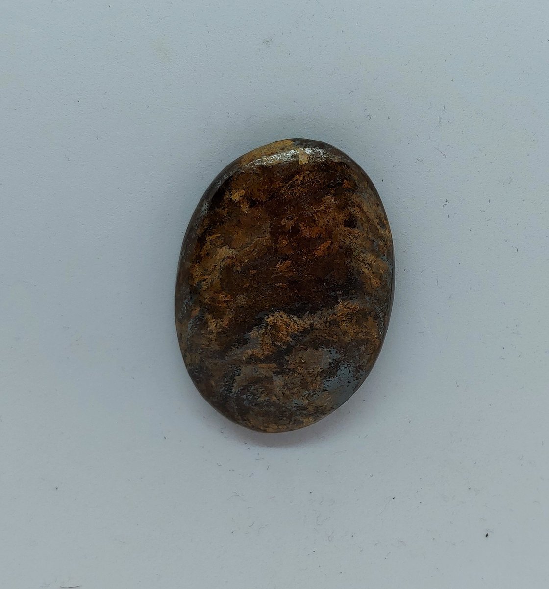 Image of Bronzite Magnetic Pin #20-425