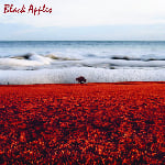 Image of The Black Apples - self-title LP