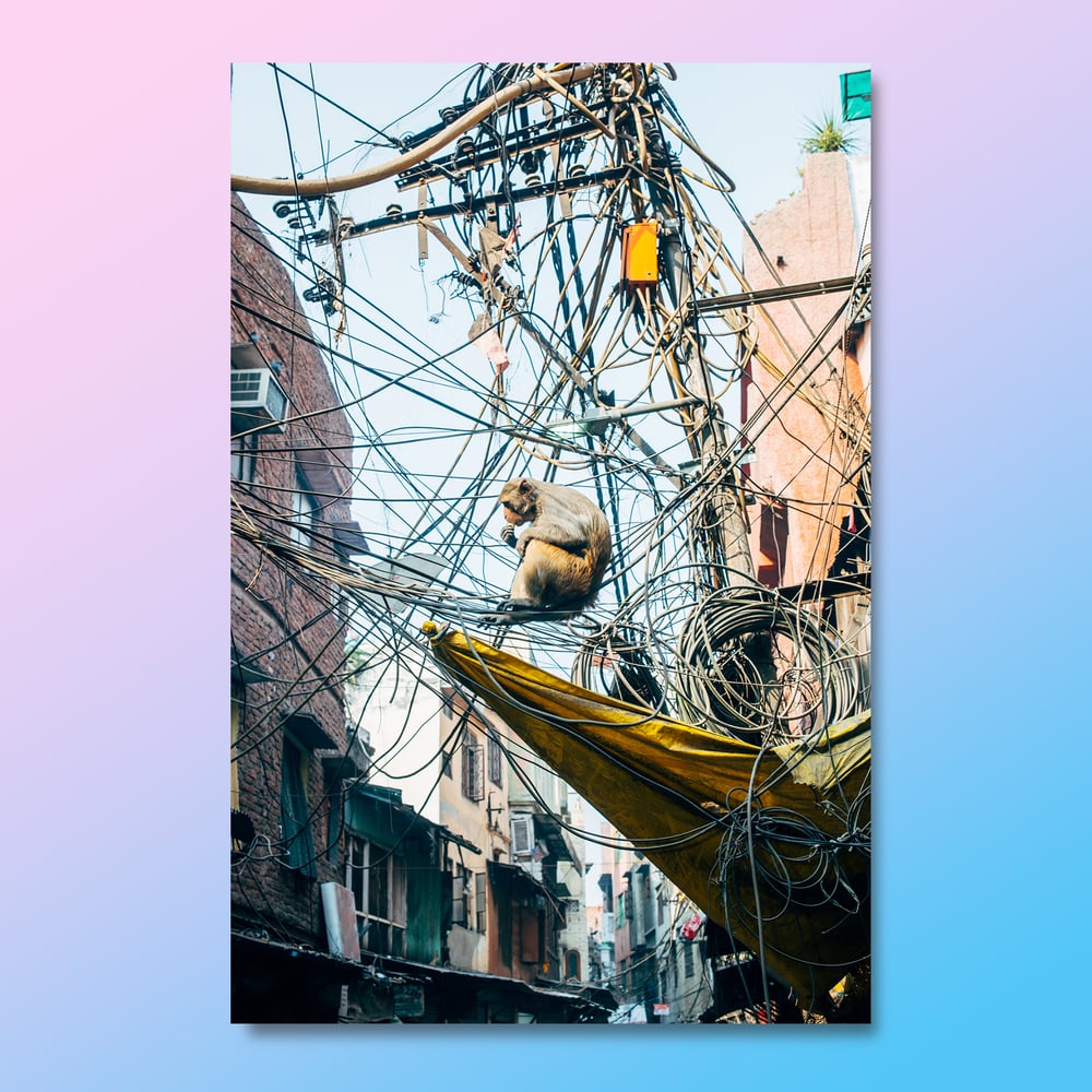 Image of Jama Majid – New Delhi – Edition Print
