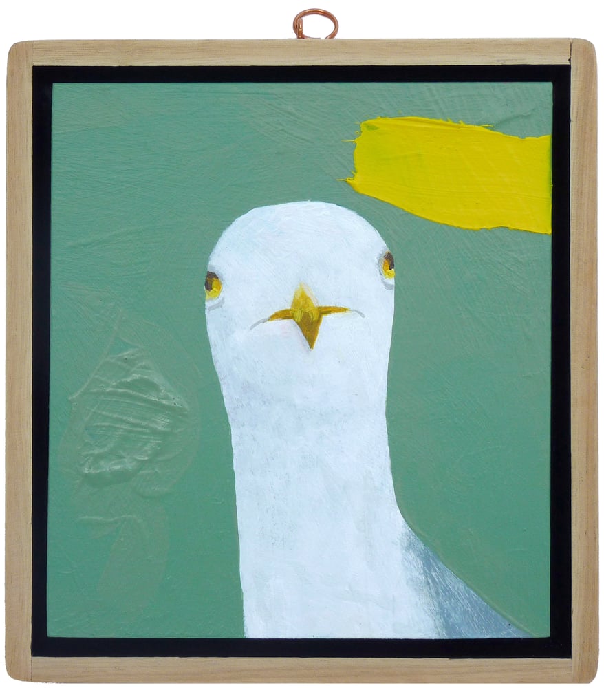 Image of Seagull With Yellow Splat