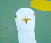 Image 2 of Seagull With Yellow Splat