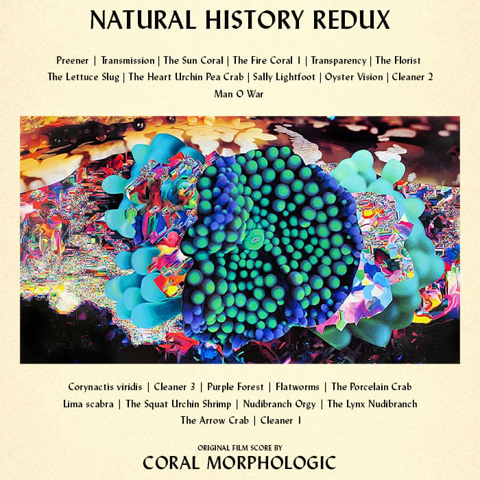 Image of Natural History Redux - Original Film Score (Digital Album)