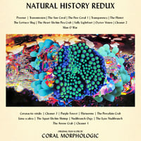 Image 2 of Natural History Redux - Original Film Score (Digital Album)