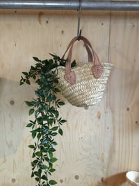 Image 1 of Baby French Basket 