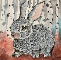 Image 1 of Winter Rabbit
