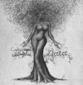 Image of RESPOSTA SIMPLES - Gaia 7" EP