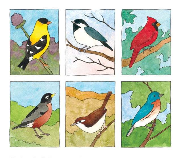 Image of Birds of All Seasons Card Set 6 
