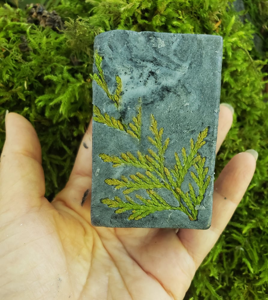 Image of Pine & Sage Man Soap