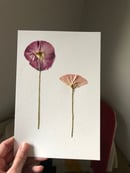 Image 2 of Pink Wildflower Pair