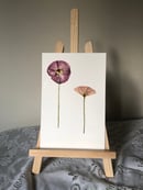 Image 1 of Pink Wildflower Pair