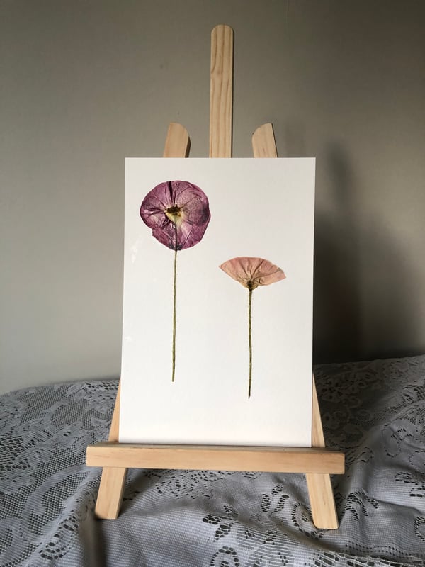 Image of Pink Wildflower Pair