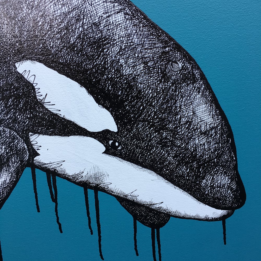 ‘Orca’