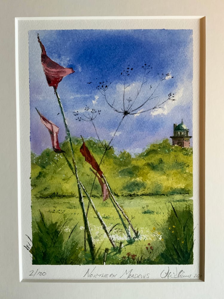 Image of Save the Meadows Limited Edition Print