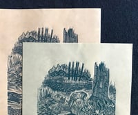 Image 3 of THE BEAUTY OF PERMANENCE: 11x14 INCH LIMITED EDITION LINOCUT PRINT