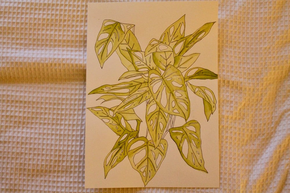 Image of Original Watercolour - Monkey Mask Leaves.