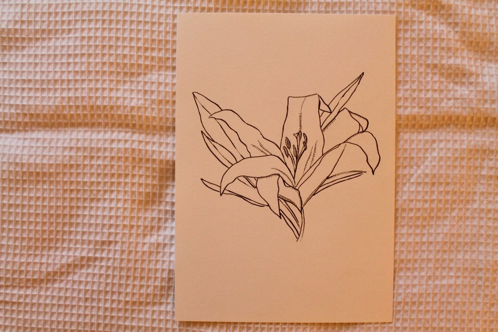 Image of Original Ink Drawing - Lily.