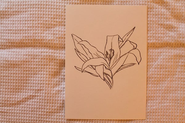 Image of Original Ink Drawing - Lily.