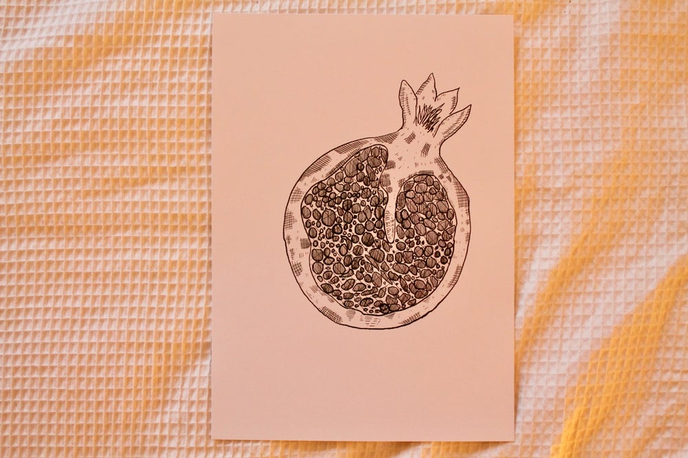 Image of A4 Print - Pomegranate.