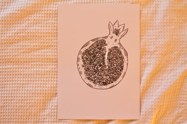 Image of A4 Print - Pomegranate.