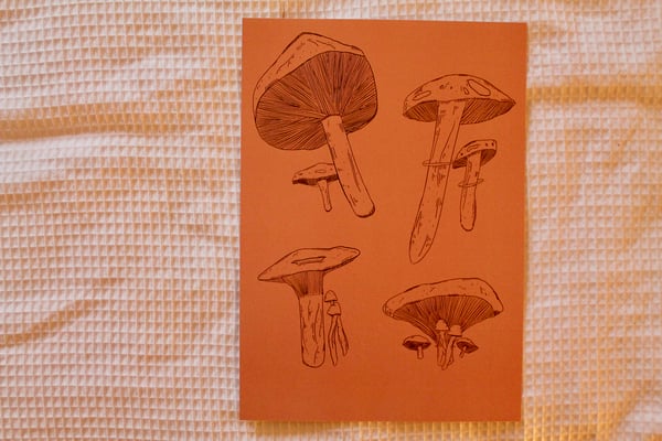 Image of A4 Print - Mushrooms.