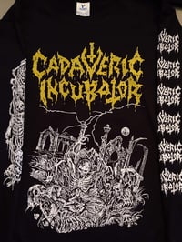 Image 2 of Cadaveric Incubator
