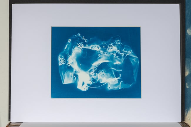 22x18cm cyanotype print in A3 mount.