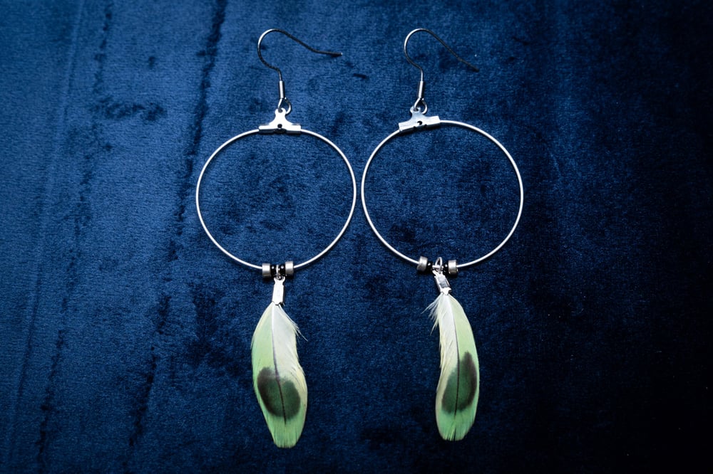 Image of Large Budgie Feather Hoops