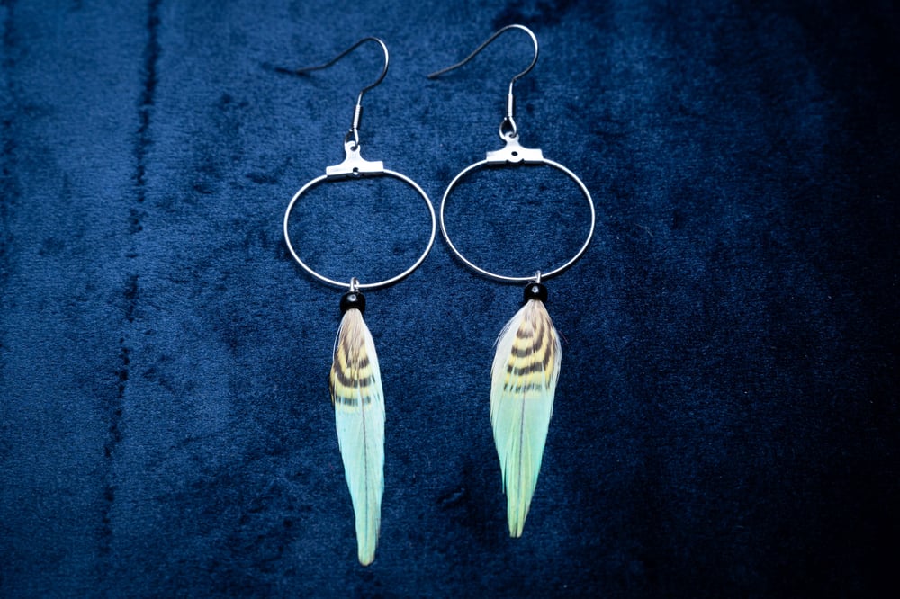 Image of Striped Budgie Hoops