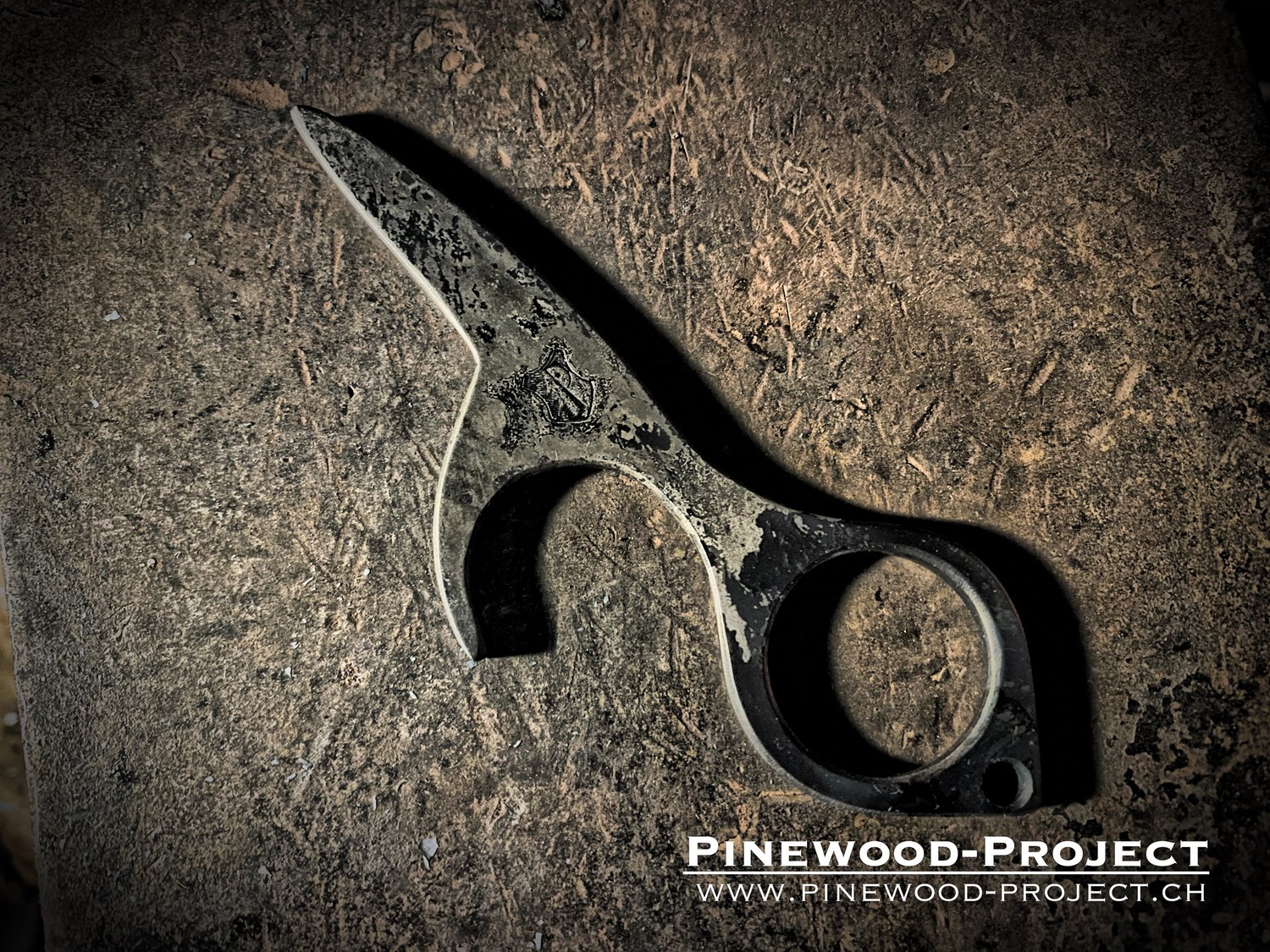 Image of Shokey - sanitary key, kaginawa and multitool