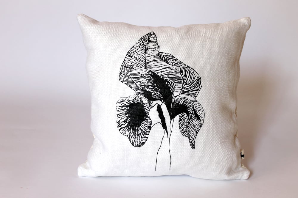 Image of iris sofarana