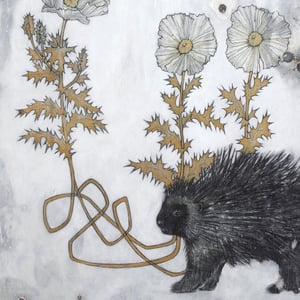 "Porcupine & Prickly Poppies" by Jenn Rawling