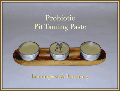 Image of Pit Taming Deodorant Paste