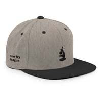 Image 2 of (Mic)roscope / New Ivy League Snapback