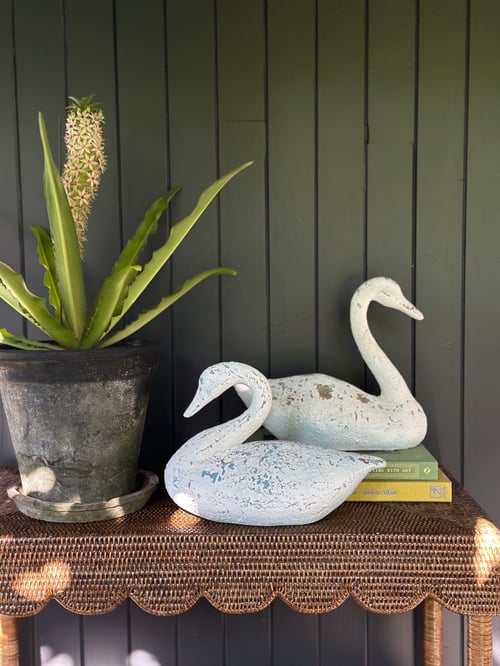 Image of Decoy Swan