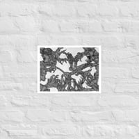 Image 2 of Monachopsis