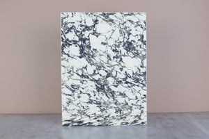 Image of GOLIATHUS ORIENTALIS