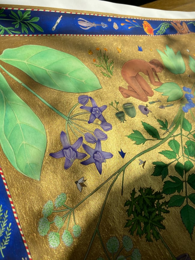 The Harvest - Special Edition