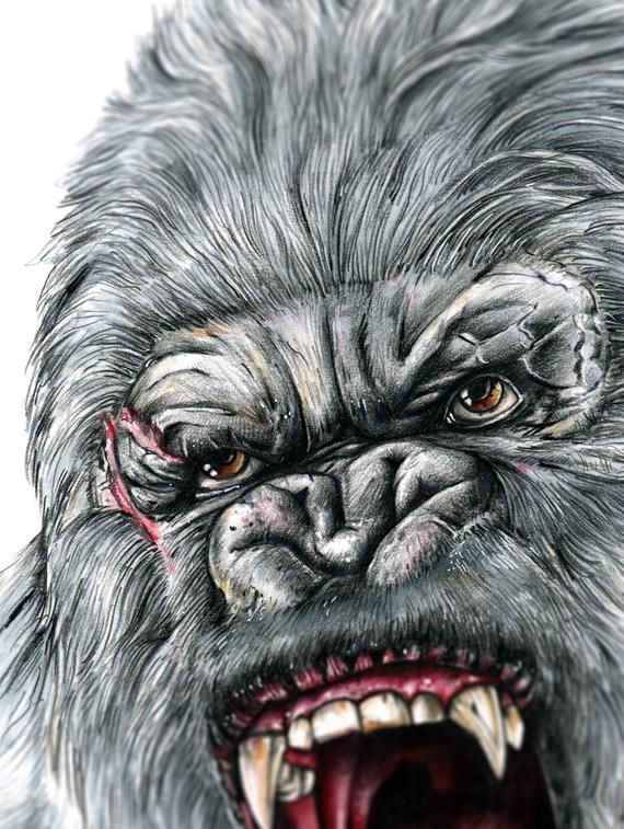 King Kong, 1976 Drawing by Granger - Fine Art America