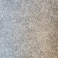 Image 1 of 1000 Cities