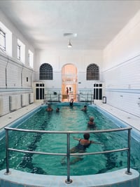Budapest Bathers