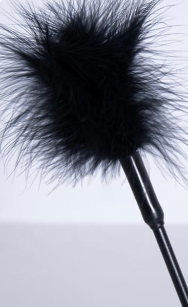 Image of Sassy Feather Tickler