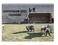 2021 Calendar