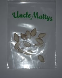 Butternut Squash Seeds